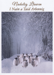 Nadolig Llawen I Nain a Taid Arbennig