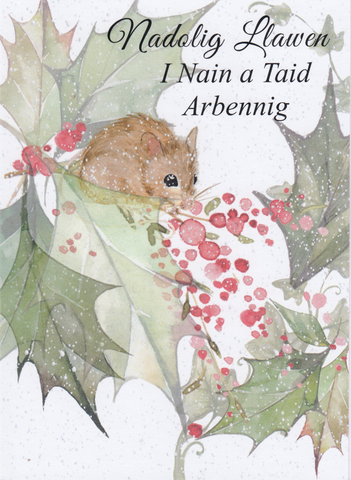Nadolig Llawen I Nain a Taid Arbennig