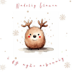 Nadolig  Llawen i fy ngŵr arbennig