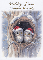 Nadolig Llawen i Bartner Arbennig