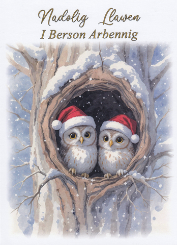 Nadolig Llawen i Berson Arbennig