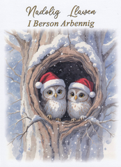 Nadolig Llawen i Berson Arbennig