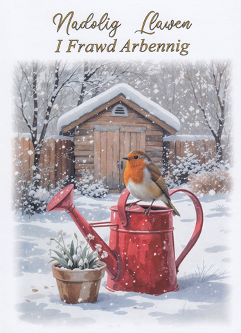 Nadolig Llawen i Frawd Arbennig