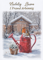 Nadolig Llawen i Frawd Arbennig