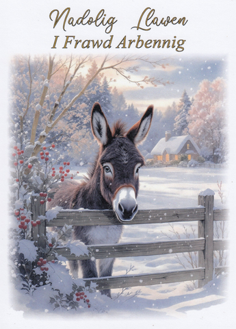 Nadolig Llawen i Frawd Arbennig