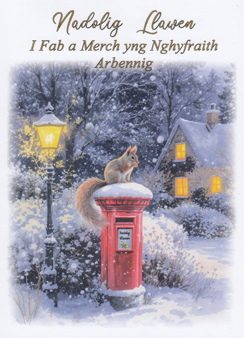 Nadolig Llawen I Fab a Merch yng Nghyfraith Arbennig