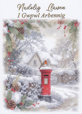 Nadolig Llawen i Gwpwl Arbennig