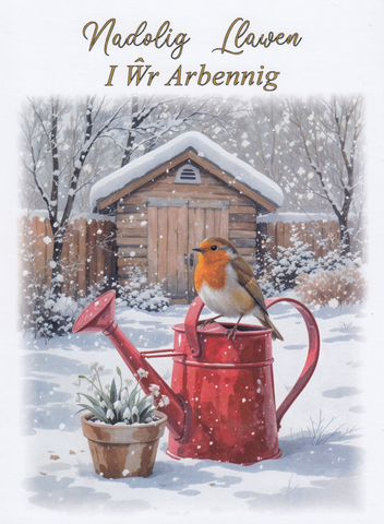 Nadolig Llawen i ŵr arbennig