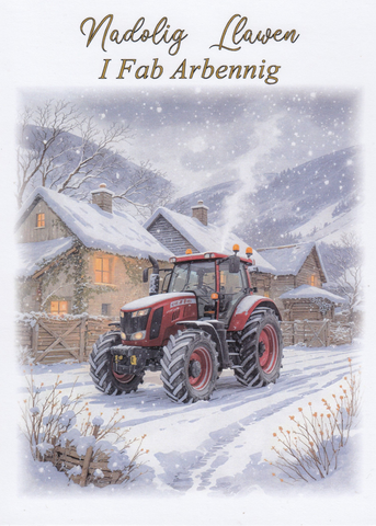 Nadolig Llawen i Fab Arbennig