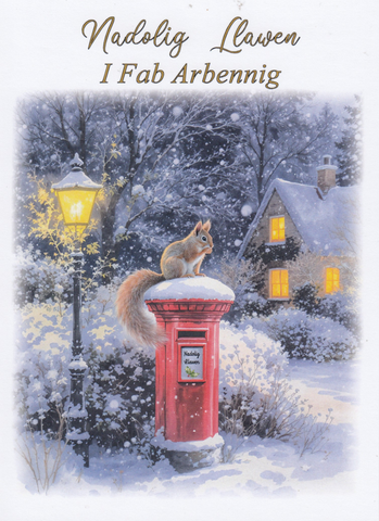 Nadolig Llawen i Fab Arbennig