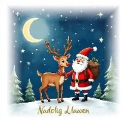 Nadolig Llawen (pack)|Nadolig Llawen (pecyn)