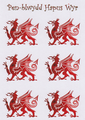 Pen-blwydd Hapus Wyr