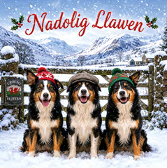 Nadolig Llawen