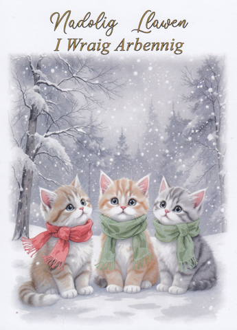 Nadolig Llawen i Wraig Arbennig