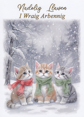 Nadolig Llawen i Wraig Arbennig