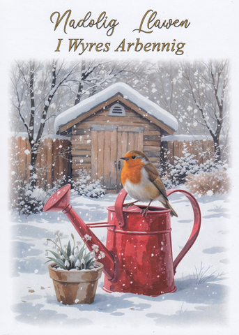 Nadolig Llawen I Wyres Arbennig