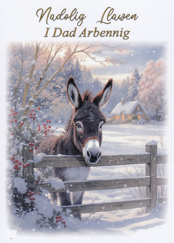 Nadolig Llawen i Dad Arbennig