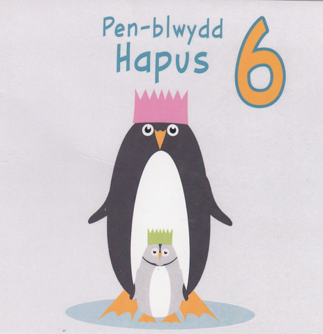 Pen-blwydd Hapus 6