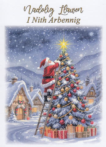 Nadolig Llawen i Nith Arbennig