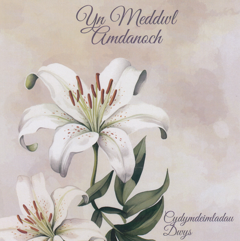 Yn Meddwl Amdanoch, Cydymdeimladau Dwys