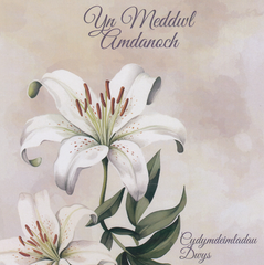 Yn Meddwl Amdanoch, Cydymdeimladau Dwys