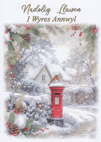Nadolig Llawen I Wyres Annwyl