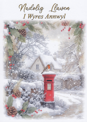 Nadolig Llawen I Wyres Annwyl