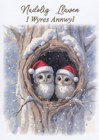 Nadolig Llawen I Wyres Annwyl