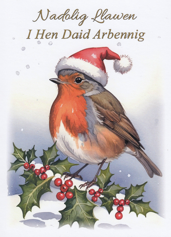 Nadolig Llawen I Hen Daid Arbennig