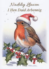 Nadolig Llawen I Hen Daid Arbennig