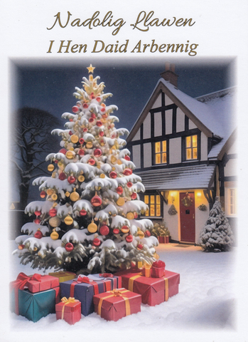 Nadolig Llawen I Hen Daid Arbennig