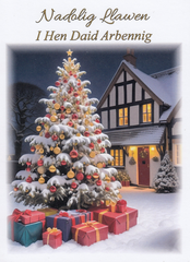 Nadolig Llawen I Hen Daid Arbennig