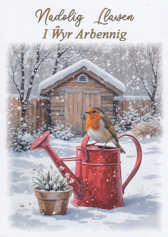 Nadolig Llawen i Wyr Arbennig