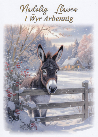 Nadolig Llawen i Wyr Arbennig