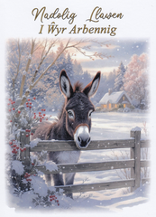 Nadolig Llawen i Wyr Arbennig