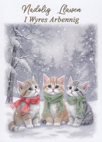 Nadolig Llawen I Wyres Arbennig