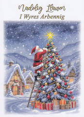 Nadolig Llawen I Wyres Arbennig