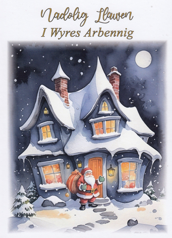 Nadolig Llawen I Wyres Arbennig