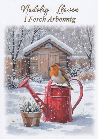 Nadolig Llawen I Ferch Arbennig