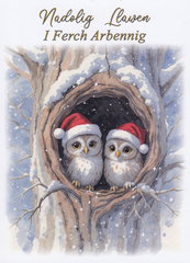 Nadolig Llawen I Ferch Arbennig