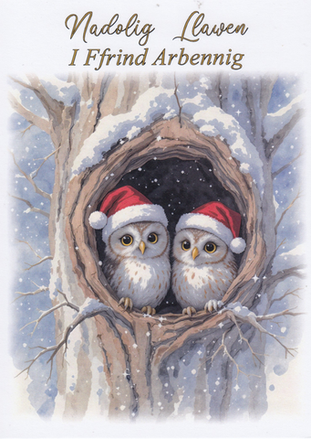 Nadolig Llawen i Ffrind Arbennig