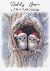 Nadolig Llawen i Ffrind Arbennig