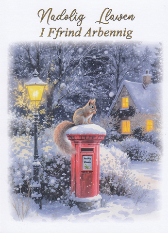 Nadolig Llawen i Ffrind Arbennig