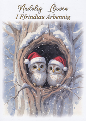 Nadolig Llawen i Ffrindiau Arbennig