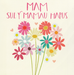 Mam, Sul y Mamau Hapus