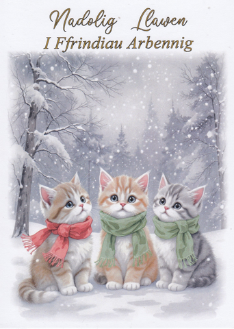 Nadolig Llawen i Ffrindiau Arbennig