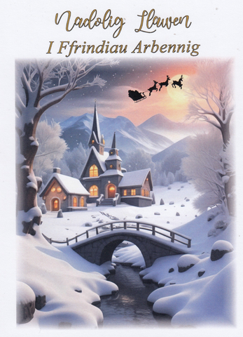 Nadolig Llawen i Ffrindiau Arbennig