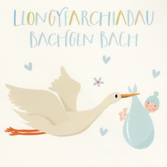 Llongyfarchiadau Bachgen Bach