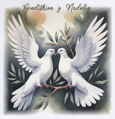 Bendithion y Nadolig (pack)|Bendithion y Nadolig (pecyn)