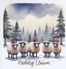 Nadolig Llawen (pack)|Nadolig Llawen (pecyn)